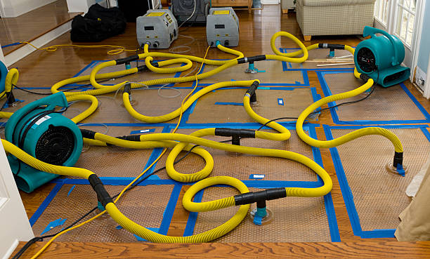 Professional Crawl Space Water Removal technician working in Blue Jay, OH